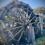 そば茶屋吹上庵 平川店 - 