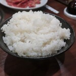 焼肉 山河 - ・「ライス大(¥396)」