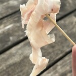 サルメリアロッキュー - ①ジャンボン・オーベルニュ（フランス産）８ヶ月熟成