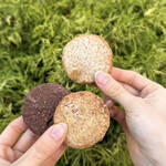 SHIMIZU CHEF.LAB 本店&セントラル - 