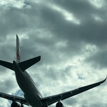 天麩羅処ひらお - 