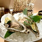 炉端あほう鳥 - 