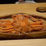 鮨 三心 - ボイル後の勢子蟹