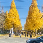 洋食フナハシ亭 - 