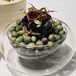 ラ・ヴァガボンド - メジマグロ