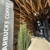 スターバックス コーヒー 太宰府天満宮表参道店