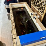 すし処 よね山 - 