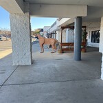 Mandarin Gourmet - 木製の馬がお出迎え