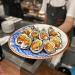 ニュー新みかん - 