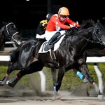 食事処　七福 - 9歳馬モニュメントキングさんのがんばりに胸アツでした！