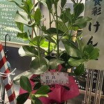 Teppan Dining HAREMA - 