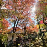 京ラーメン壬生さだかず - 