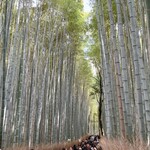 京ラーメン壬生さだかず - 