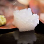 鮨 おとわ - 泥障烏賊（あふりいか）