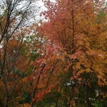 千穂の家 - 料理写真: