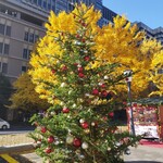 スターバックスコーヒー 皇居外苑 和田倉噴水公園店 - あたりはすでにクリスマスの雰囲気