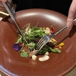 DRAWING HOUSE OF HIBIYA - 