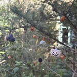 カーム ガーデン - 