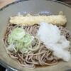 名代 箱根そば - 冷しいか天そば590円