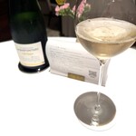 SINAE - 今日もよろしく