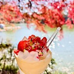 パールレディ - 