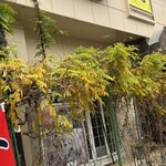 割烹 一の矢 - フジは劇的に終了に向かっている