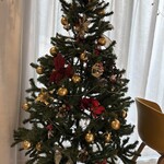 シモキタシマイ - 