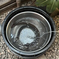 入谷鬼子母神門前のだや - 