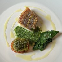 マダム・トキ - 