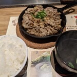 はかたの桜華 - 