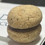 ドロゲリア サンクリッカ - 