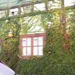 ポンレヴェック - 