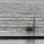 HICKORY Sea Side cafe - 