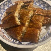 炭焼きうなぎ・かしわ 登河 - 