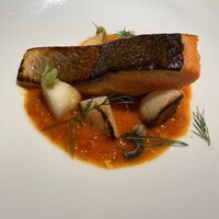 セルサルサーレ - 