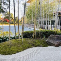 Indigo Home Kitchen Yamateras - 