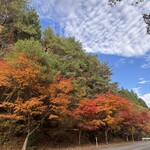 関谷醸造 - ※お店の内容とは一切関係がありません(*ᴗˬᴗ)⁾⁾⁾