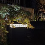 春吉きんぎょ - 