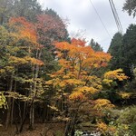 関谷醸造 - ※お店の内容とは一切関係がありません(*ᴗˬᴗ)⁾⁾⁾