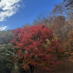 関谷醸造 - ※お店の内容とは一切関係がありません(*ᴗˬᴗ)⁾⁾⁾