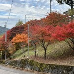 関谷醸造 - ※お店の内容とは一切関係がありません(*ᴗˬᴗ)⁾⁾⁾