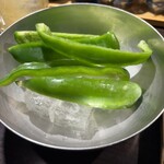 肉の雷橋 - 