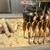 土佐茶食堂ちゃづる - 料理写真: