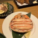 ぎんぎょ伍式 - 