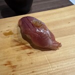 極 - ヤイトカツオ