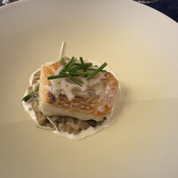 Concept 1/f コンセプトエフブンノイチ - 