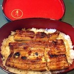 うなぎ屋 廣川 - 鰻重