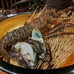 神楽坂 鉄板焼 向日葵 - 