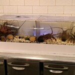 神楽坂 鉄板焼 向日葵 - 