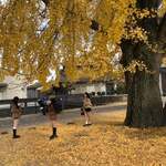 手打ち駅前そば あびき - 